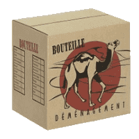 Bottle box