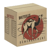 Carton bouteilles